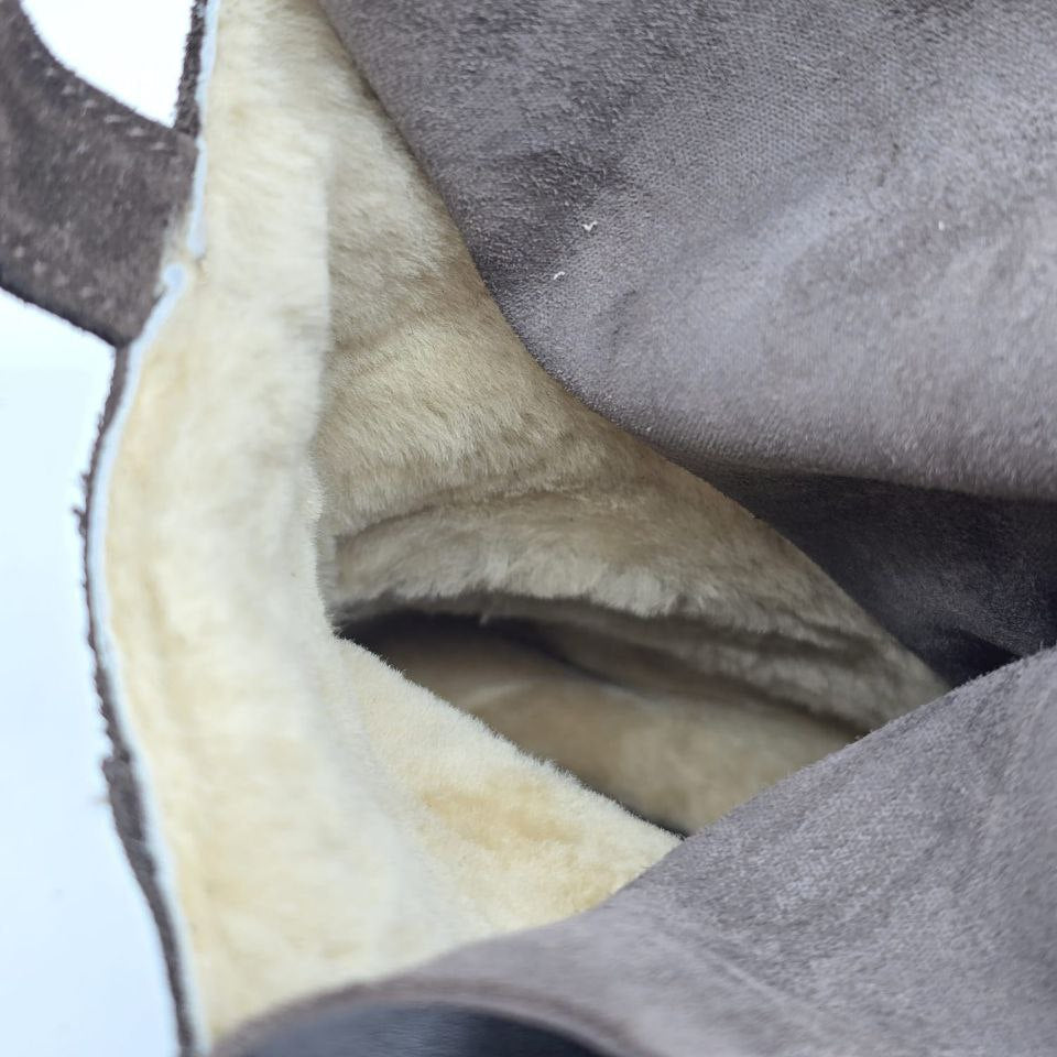 Art. L'Anfibio inverno