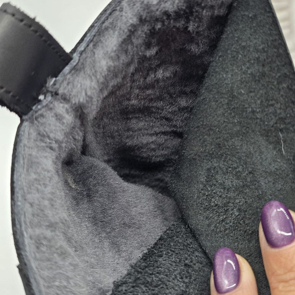 Art. L'Anfibio inverno